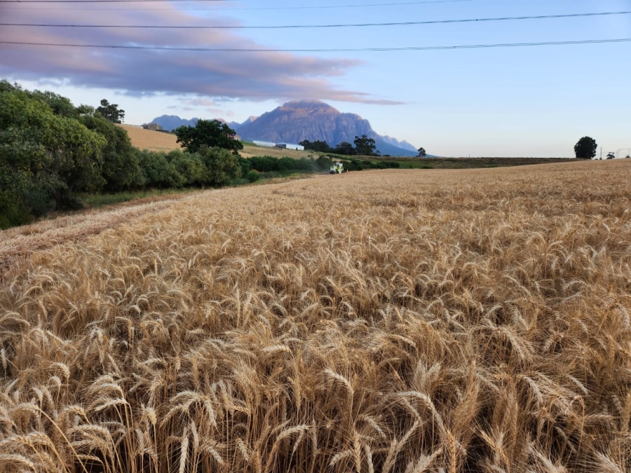 Commercial Property for Sale in Wolseley Western Cape